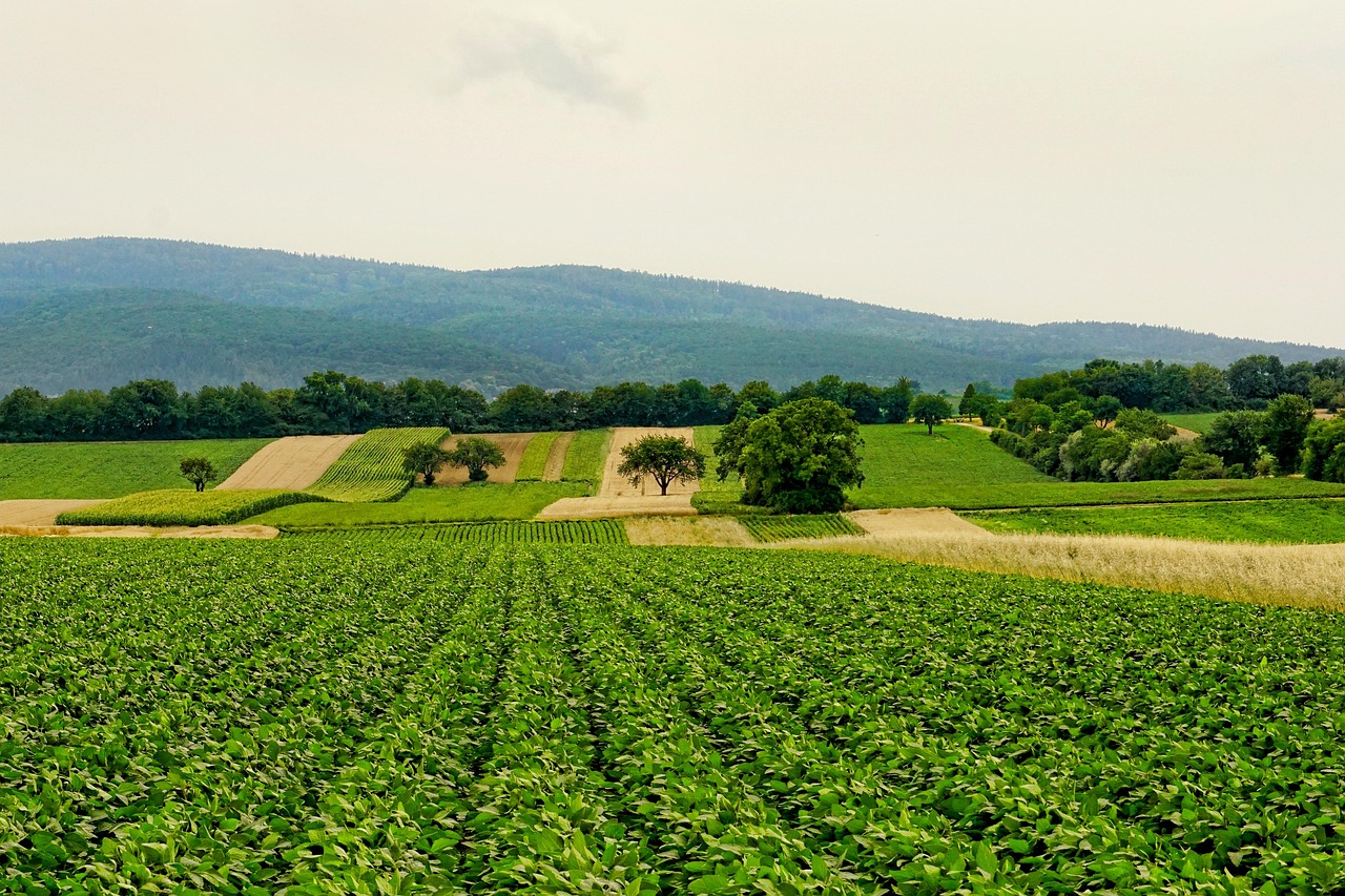 Agricultura